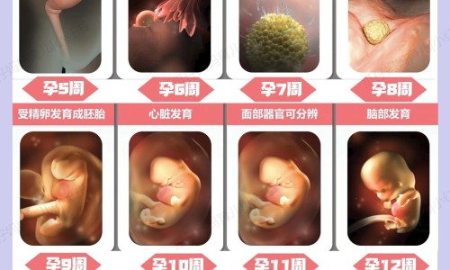 怀孕吃辣是怀男孩吗怀孕的人要喝什么碳水-孕妇吃辣的-孕妇喝辣的汤好吗,中国孕妇喝辣的汤网站